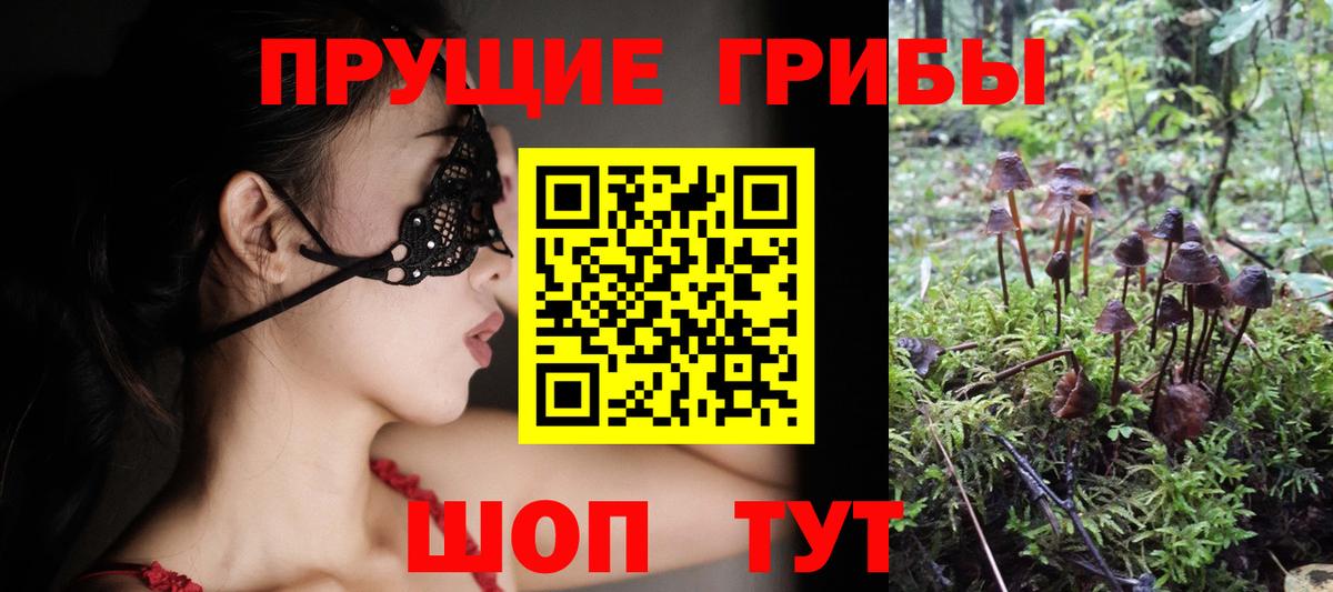 Галлюциногенные грибы ЛСД  Галлюциногенные грибы Magic Shrooms  Вход с VPN  Таганрог 